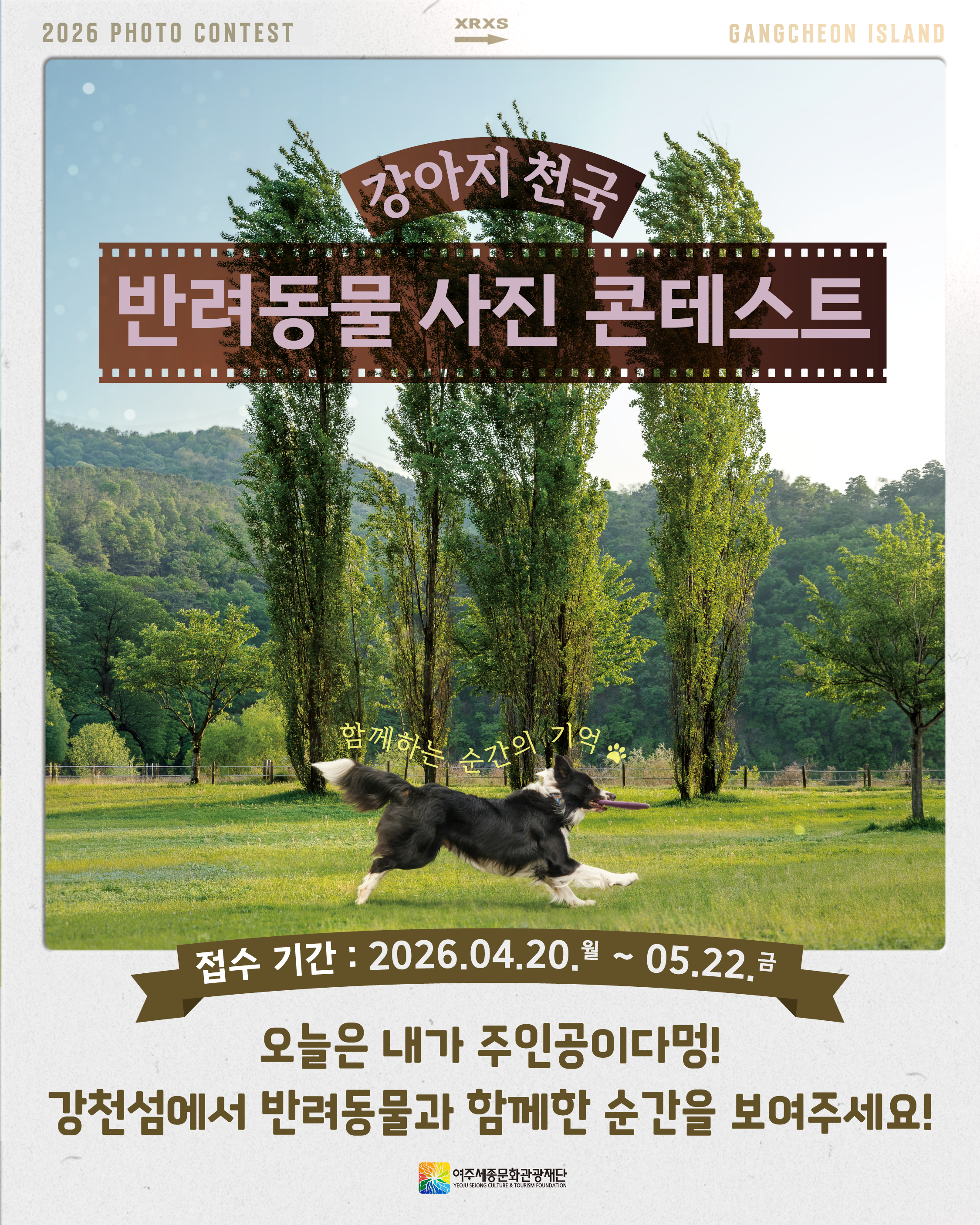 해당파일이미지