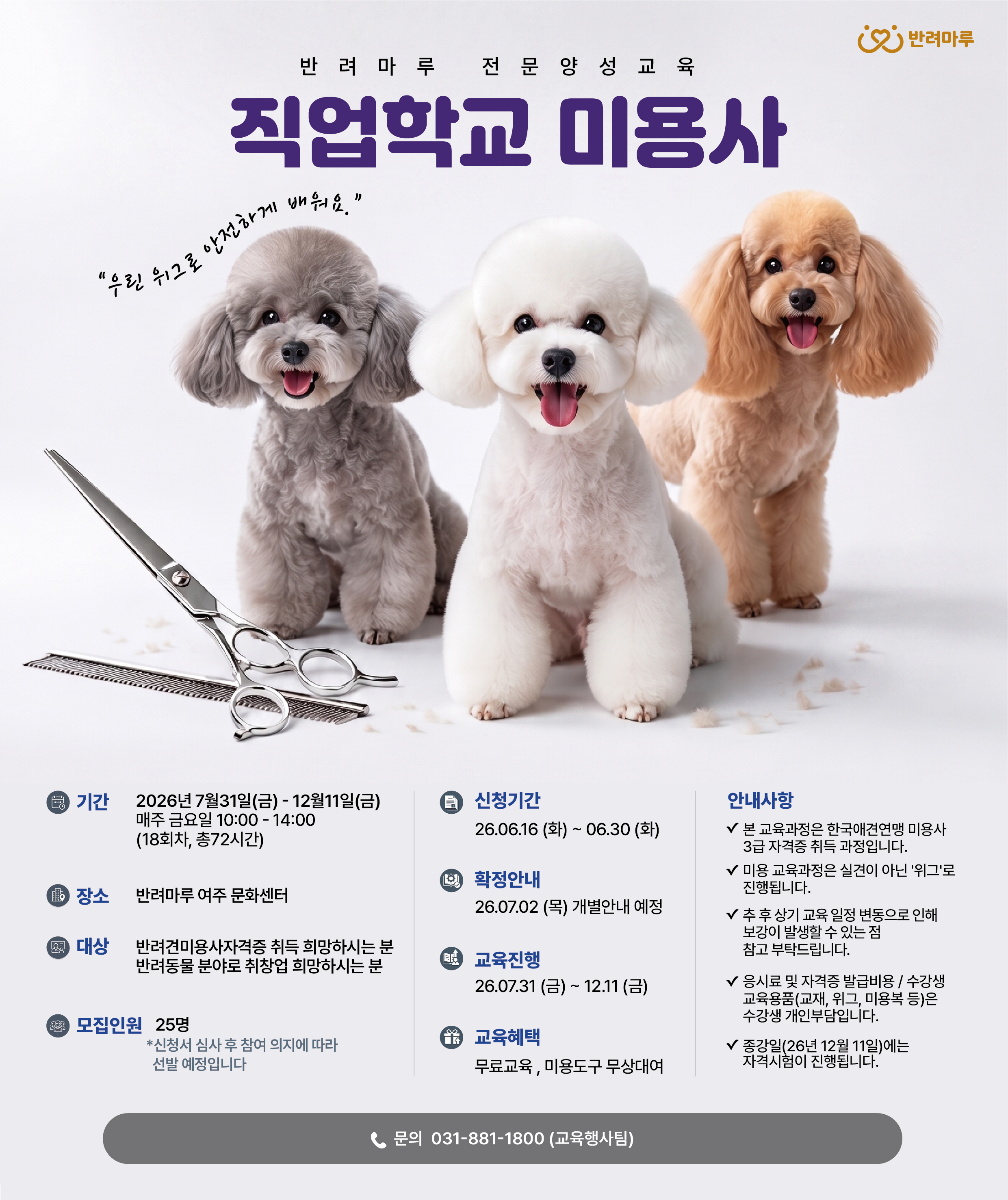 해당파일이미지